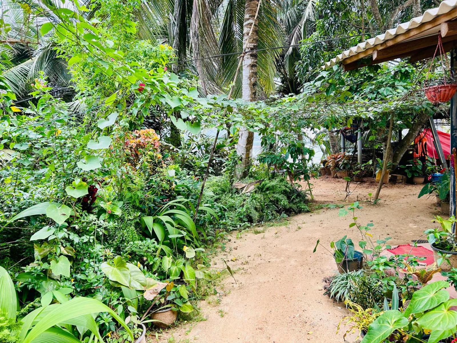 Surf Paradise Tangalle Exterior photo