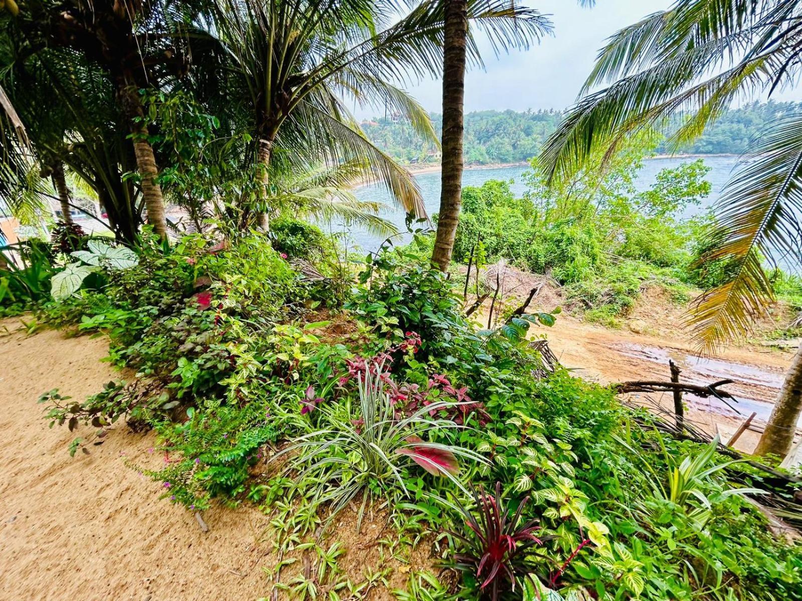 Surf Paradise Tangalle Exterior photo